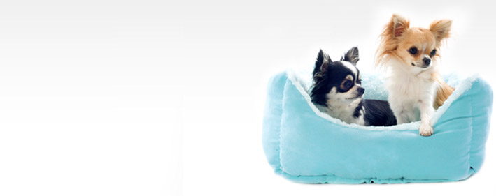 Filling services for Pet Beds manufacturer